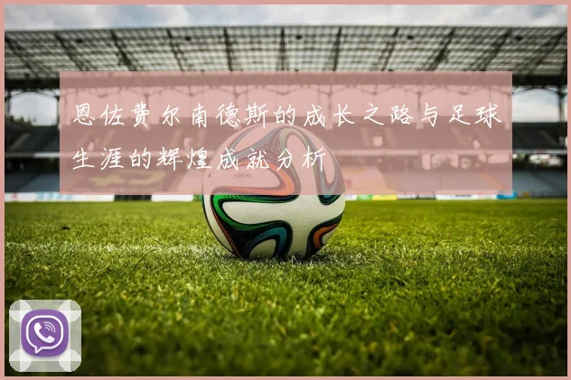 恩佐费尔南德斯的成长之路与足球生涯的辉煌成就分析