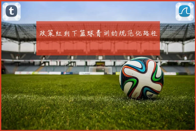 政策红利下篮球青训的规范化路径