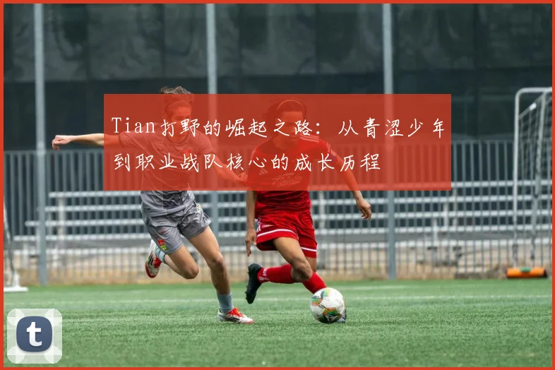 Tian打野的崛起之路：从青涩少年到职业战队核心的成长历程