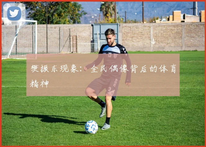 樊振东现象：全民偶像背后的体育精神